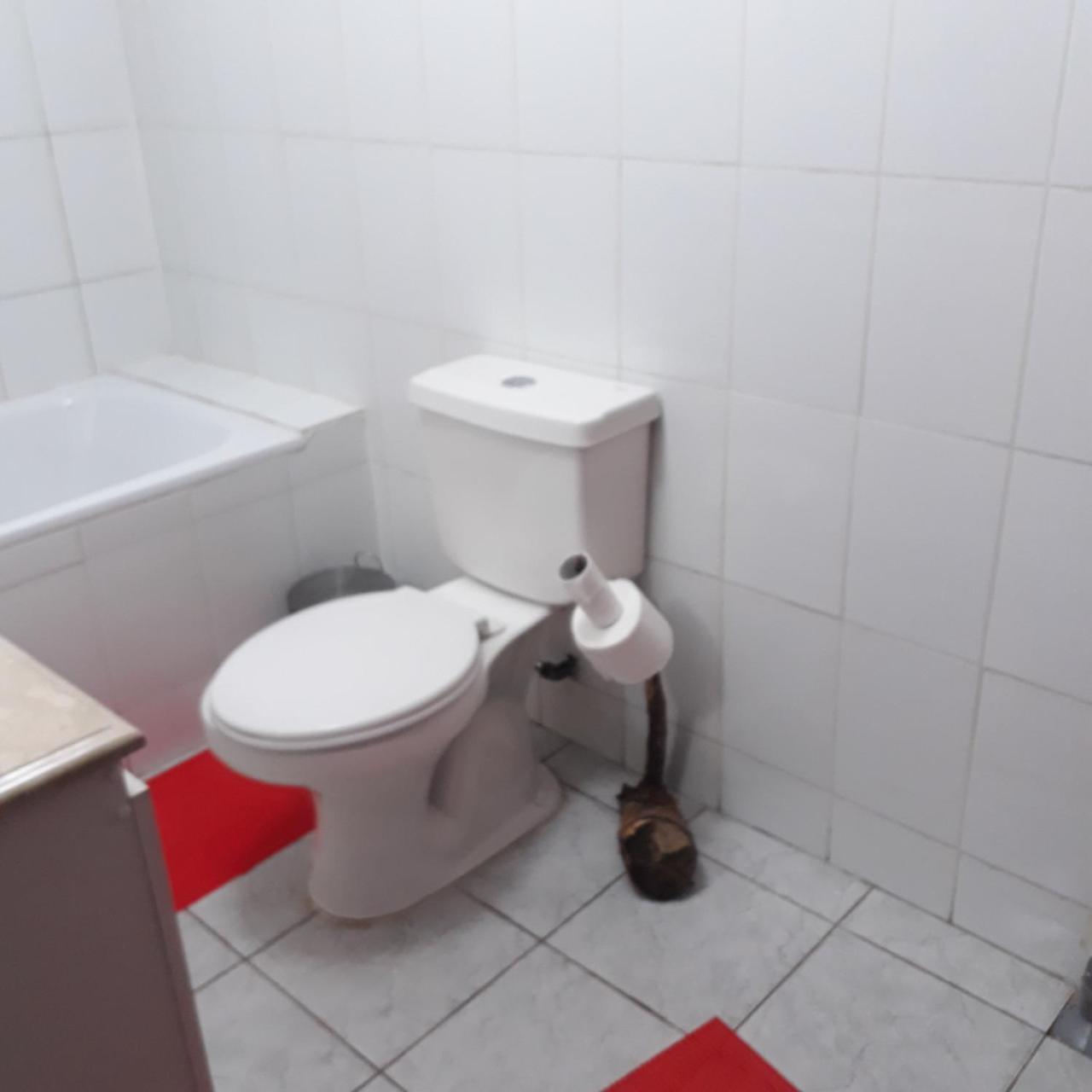 La Llar Hostel Panguipulli Zewnętrze zdjęcie