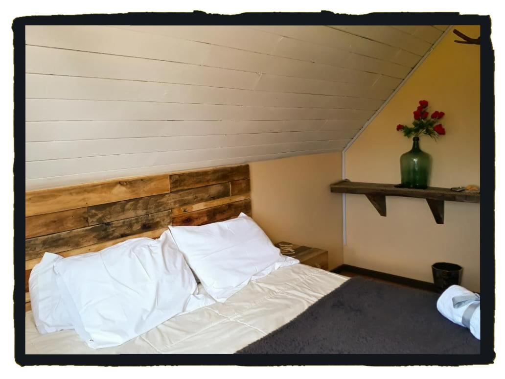 La Llar Hostel Panguipulli Zewnętrze zdjęcie